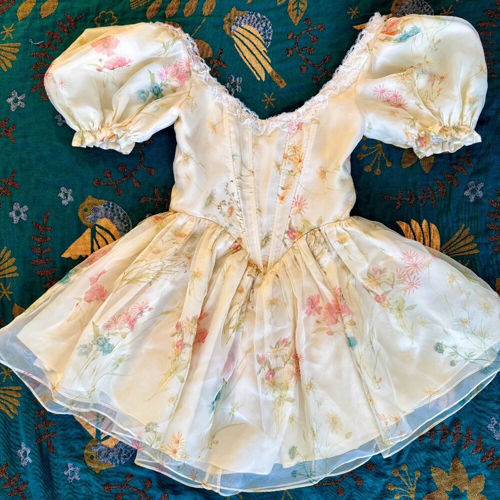 Adeirlina Fairy Dress - XS (Never Worn)